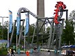Cobra Roll